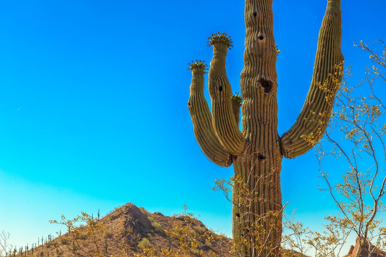 Apartmán Esplendora Tucson Exteriér fotografie